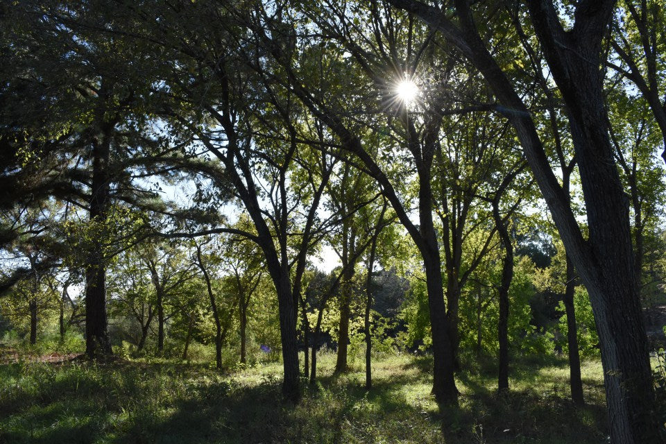 How to Find the Perfect Lot